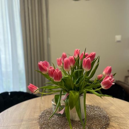ביילסקו-ביאלה Apartament Kaszmirowy מראה חיצוני תמונה